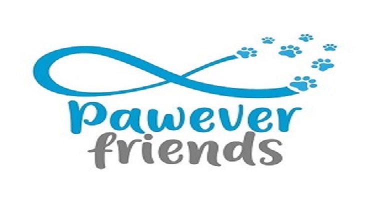 Pawever Friends en Metepec